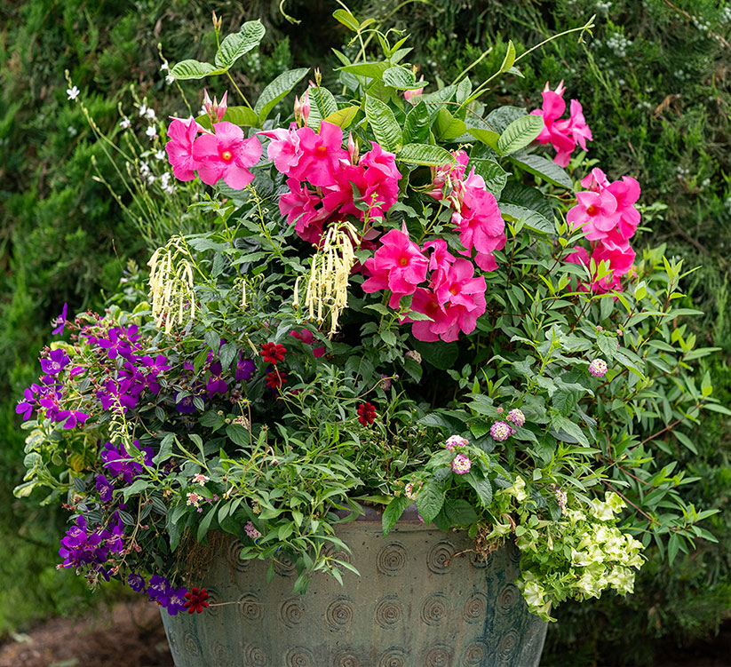 Professional garden and landscape services by Gardeneering in the Hamptons